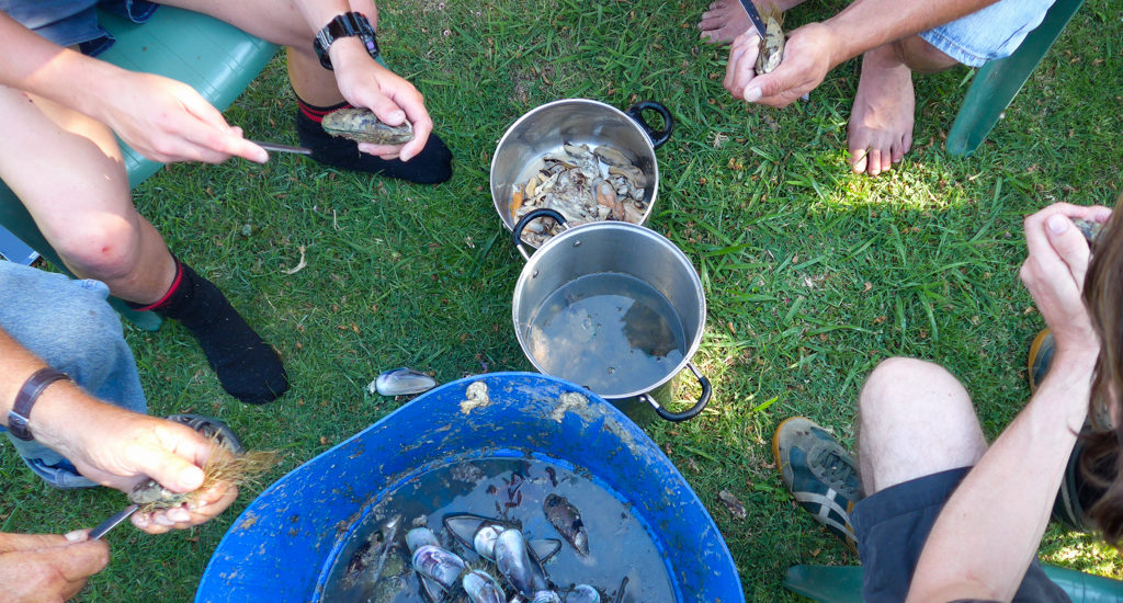 Tolaga Bay: Grünlippenmuscheln und Gastfreundschaft