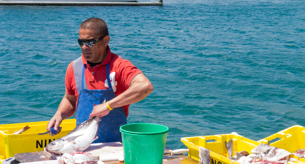 Wellington: Fisch direkt vom Kutter