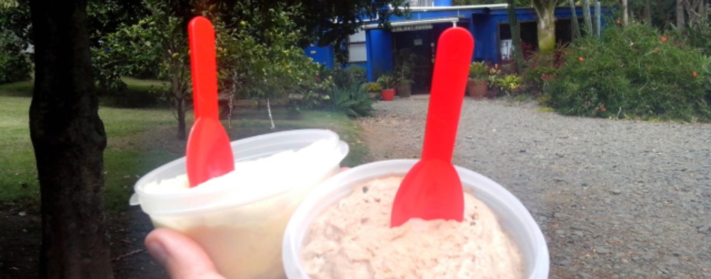 Whanarua Bay: hokey-MAC-pokey-Eis