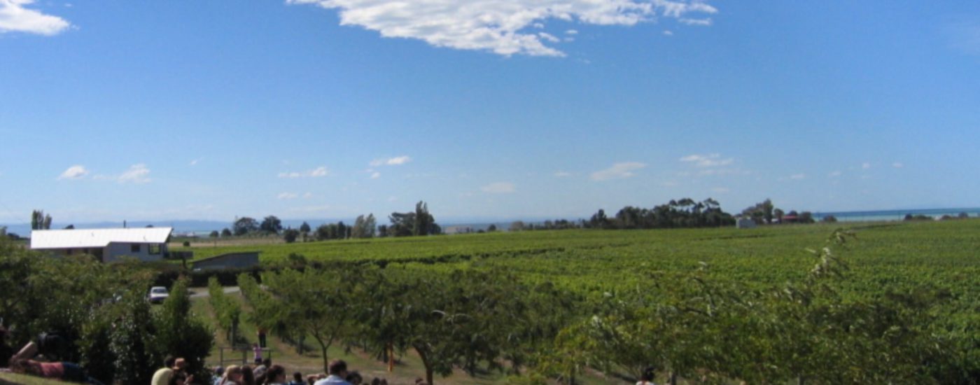 Hawke’s Bay: Wo ich mich in den neuseeländischen Wein verliebte