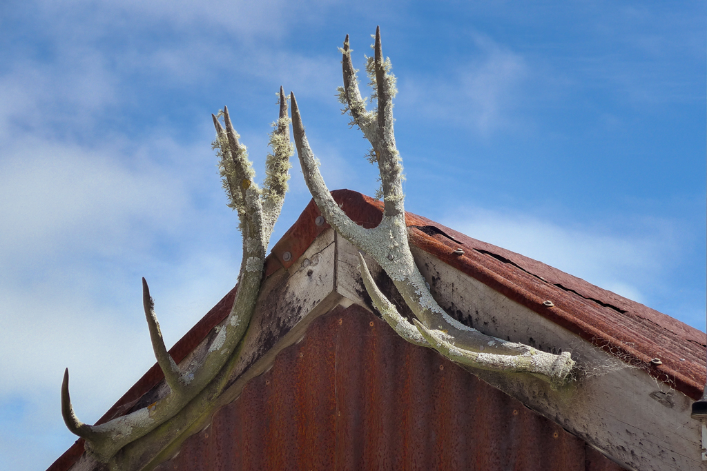 titel_20140210_Haast
