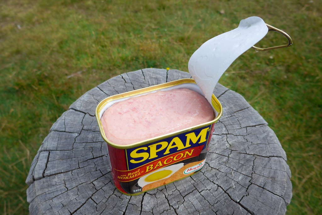 Geöffnete Dose mit Spam