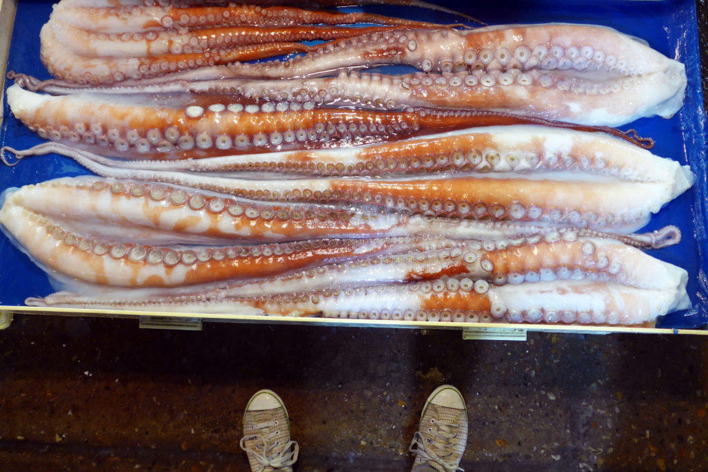 20141203_titel_Seoul Fischmarkt