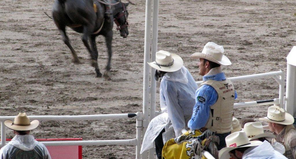 Calgary Stampede: Rodeo für den Magen