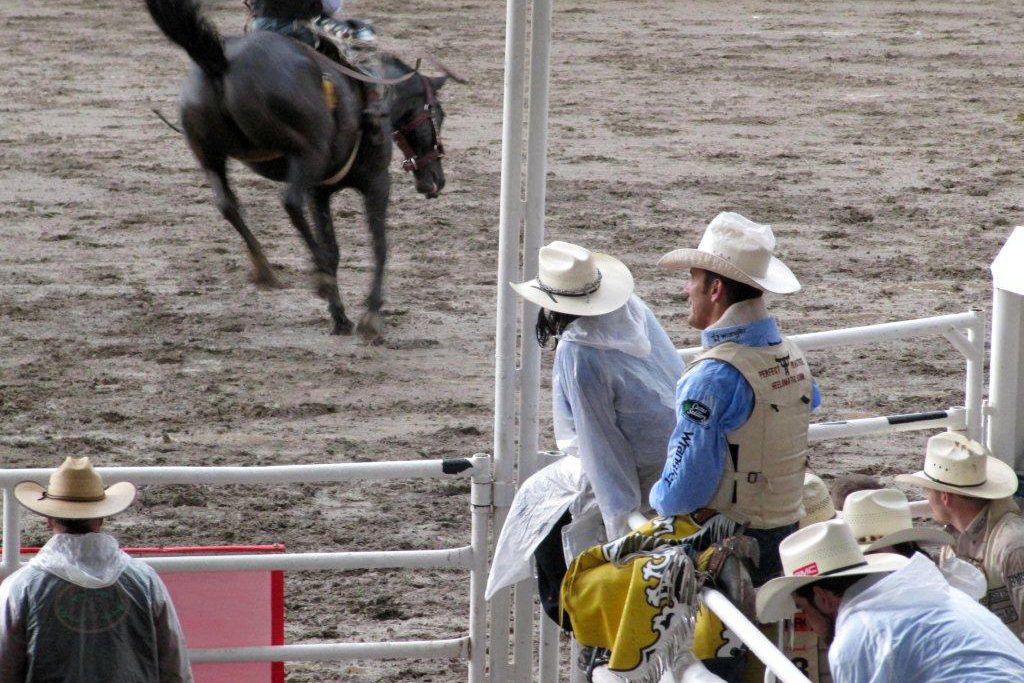 Rodeo