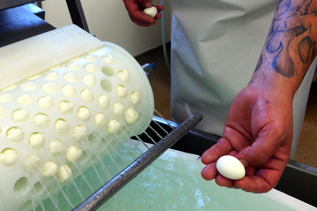 Mozzarella Paolella