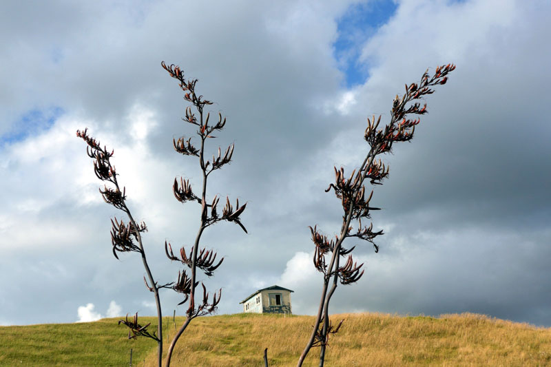 Challenge On Nature Photography: Unser Beitrag #3