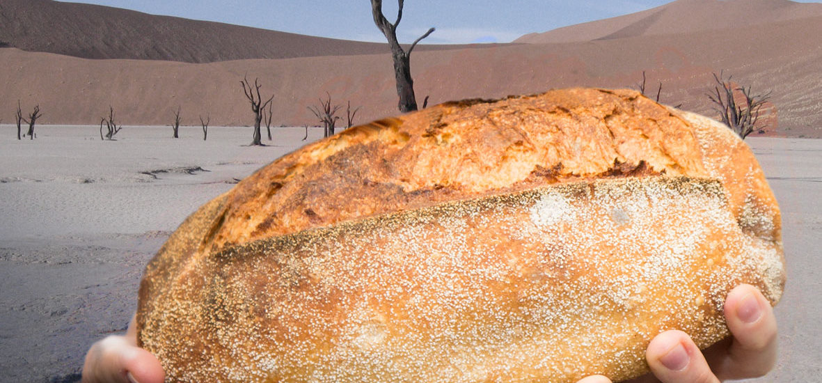 Brot in der Wüste