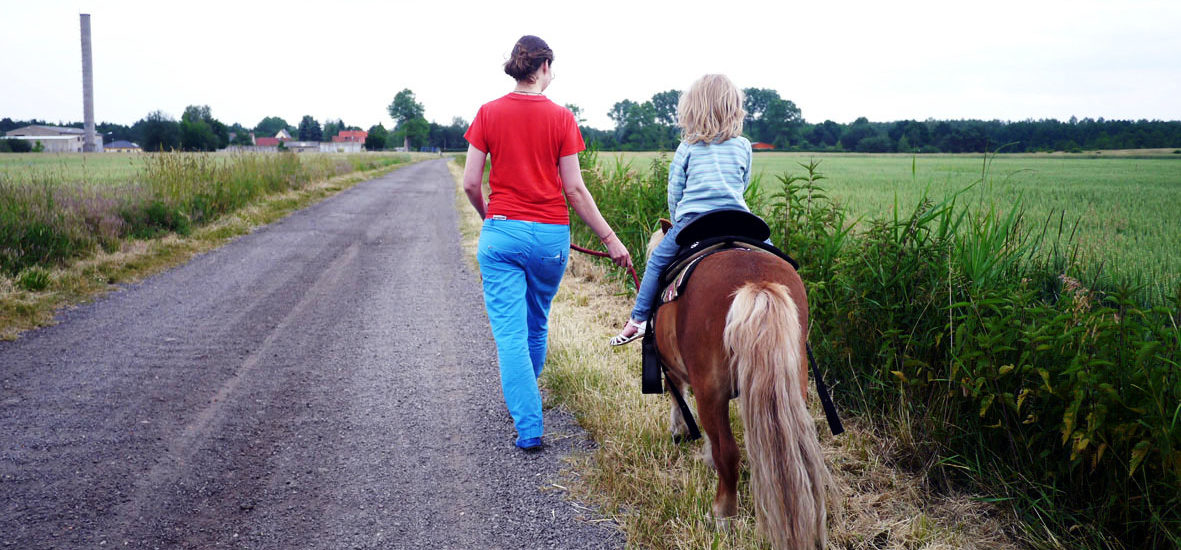 Kulinarischer Brandenburg-Ausflug: frisch geräucherter Fisch und ein Strandbad mit Ponies in Mellensee