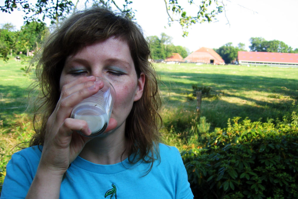 Frische friesische Vollmilch