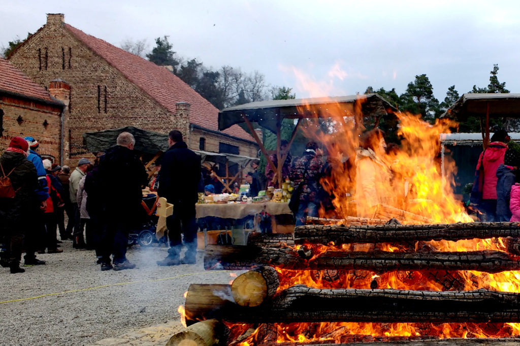 Großes Lagerfeuer bei der Waldweihnacht an der Oberförsterei Hammer