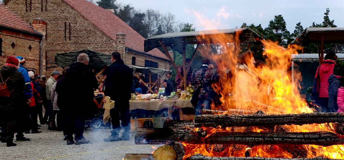 Ausflug zur Waldweihnacht in der Oberförsterei Hammer: Wildschweinbraten, Weihnachtsmarkt und Weihnachtsbäume selber schlagen