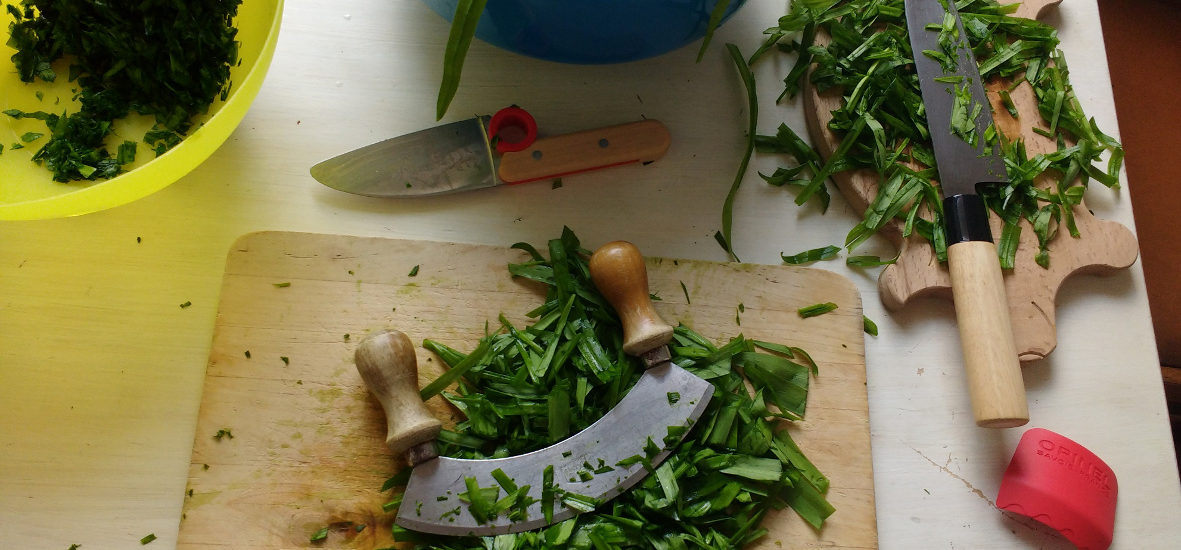 Bärlauch sammeln und haltbar machen: So nutzt ihr die kurze Saison [mit Rezepten!]