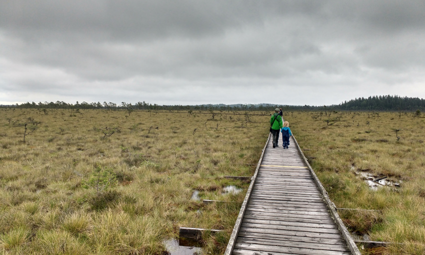 Bullerbü-Ferien in Smaland_Schweden_Store Mosse Nationalpark