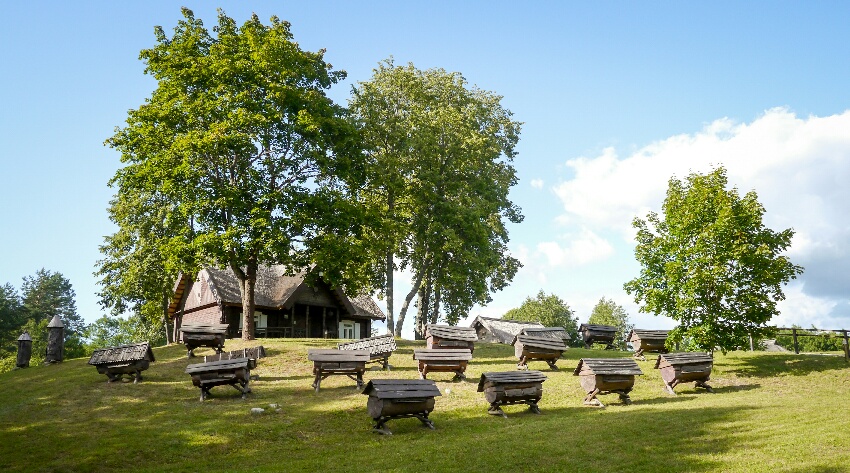 Litauen_Roadtrip_Bienenmuseum.jpg