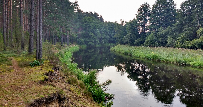 Roadtrip_Litauen_schoene_Natur.jpg