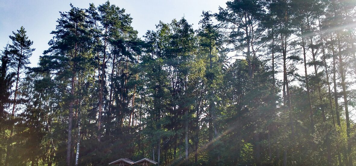 Sommer-Roadtrip durch Litauen: Zwei Wochen lang wild campen & wild essen