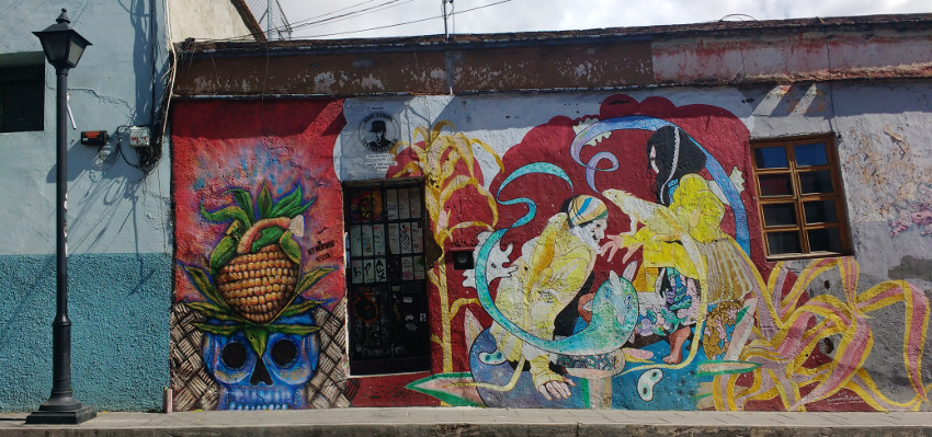 20180427_Oaxaca Strassenszene Wandbemalung Mural (c) Jäger des verlorenen Schmatzes