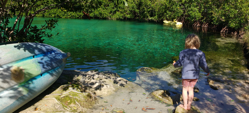 Hunderte Cenoten gibt es auf der Yucatan-Halbinsel und jede hat ihren ganz eigenen Reiz