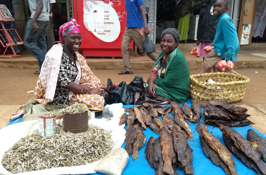 Diese beiden Marktfrauen in Tororo haben mich ermutigt, den Trockenfisch mit ins Flugzeug zu nehmen - ihre Familie würde das auch immer so machen. 