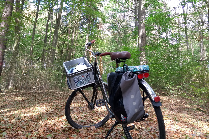 Grumsin Wanderung Radtour Destille Weltnaturerbe Fahrrad (c) www.JaegerDesVerlorenenSchmatzes.de