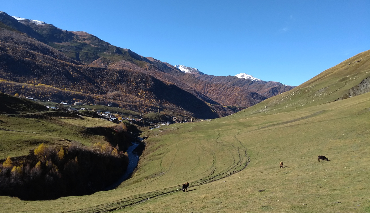 Ushguli Georgien Berge Kühe Gebirge Wandern (c) www.JaegerDesVerlorenenSchmatzes.de