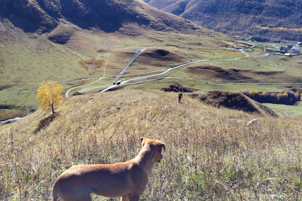 titel_Ushguli Wandern Hunde Georgien Kaukasus Svanetien