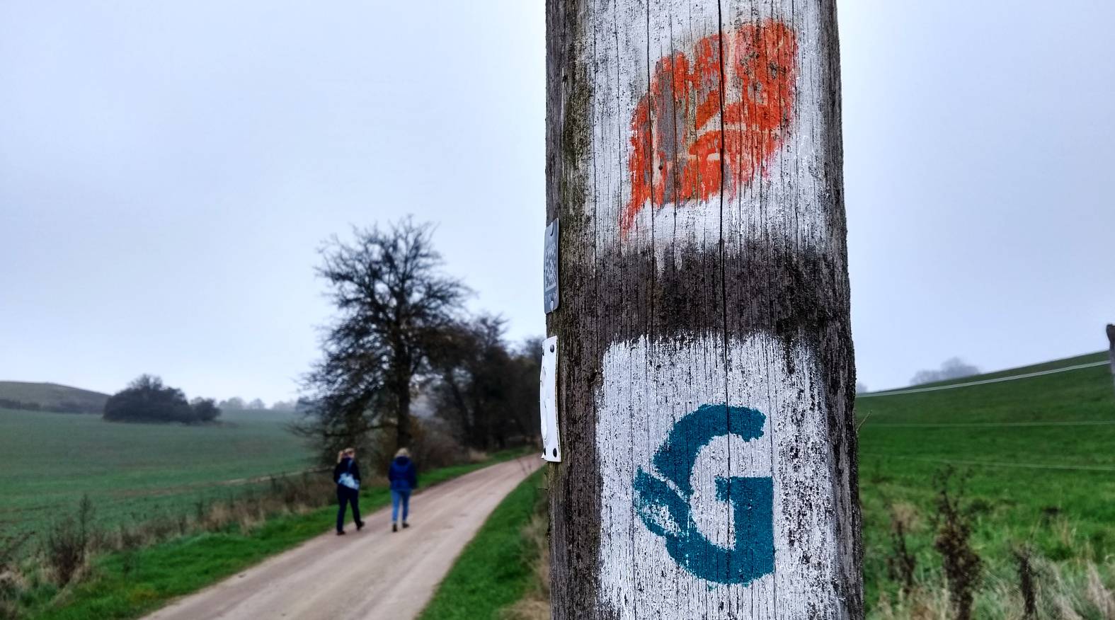 Grumsin Genusswanderweg Destille Wald Hemme Milch (c) www.JaegerDesVerlorenenSchmatzes.de