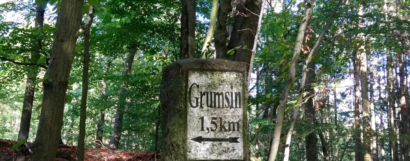 UNESCO Weltnaturerbe Grumsin in der Schorfheide: Ausflugsziel für Genießer, Radfahrer, Wanderer und Familien